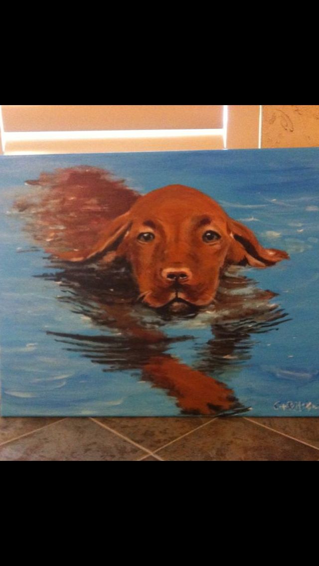 c7a9c4db269c20970567930e987374e6